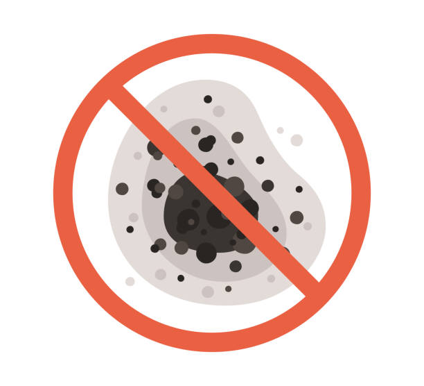 Best Mold Odor Removal Services  in Cairo, GA